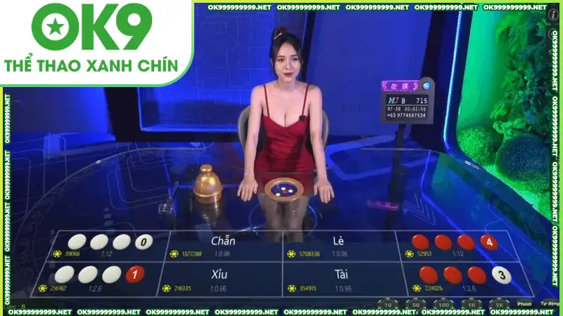 Hiểu rõ quy luật trước khi nhập cuộc Hiểu rõ quy luật trước khi nhập cuộc